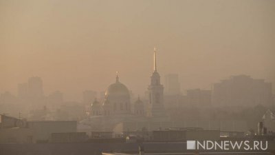 Роспотребнадзор проверит качество воздуха в Екатеринбурге
