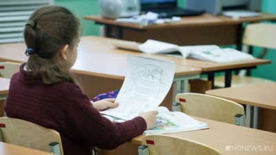 Оперштаб Курганской области определился, как будут учиться школьники с 22 ноября