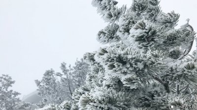 Зима пришла: в Крыму снег, мороз, метель