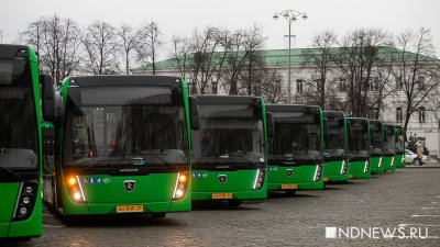 В свердловские муниципалитеты закупят автобусы вместо маршруток