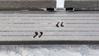 МЧС выпустило предупреждение об очередных снегопадах в Свердловской области