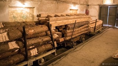 Украина выставила на аукционы в Голландии более миллиона кубометров древесины
