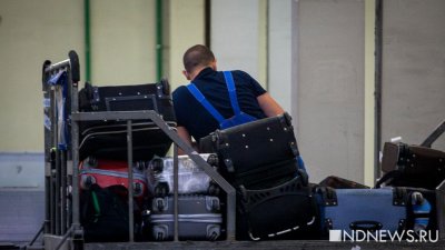 В России хотят уменьшить размеры провозимого в самолете багажа