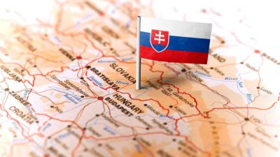 МВД Словакии: страна стоит на пороге гражданской войны