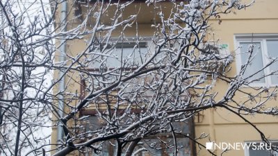 После аномального тепла на Урал вернется снег