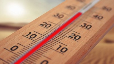 В Канаде от аномальной жары скончались более 200 человек
