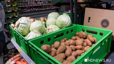 Фермеры Сургутского района предупредили – цены на продукцию вырастут на 15 процентов