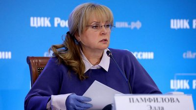 Памфилова гарантирует коллегам защиту от провокаторов во время выборов в Госдуму