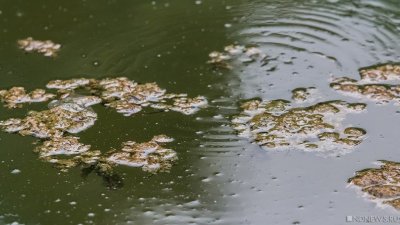 В Югре в болото упал гидросамолёт