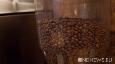 Дефицит не страшен: финны научились выращивать кофе в биореакторе