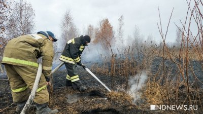 На Среднем Урале горят торфяники