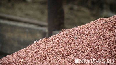 Из-за урагана в Крыму может пропасть около 100 тонн зерна