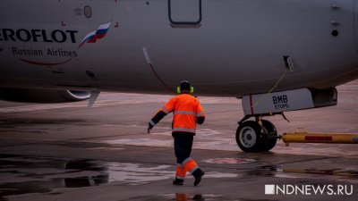 «Аэрофлот» третий день не отправляет собаку из Москвы в Калининград