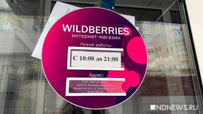 ФАС выдала предупреждение маркетплейсу Wildberries