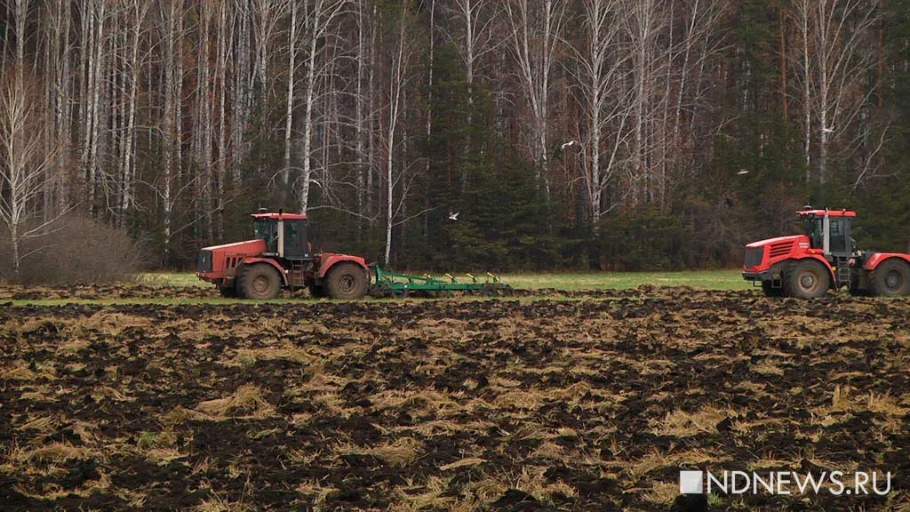 Россия продлила запрет на вывоз удобрений