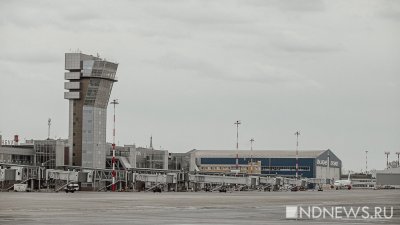 Turkish Airlines отменили все рейсы в Екатеринбург до 31 мая