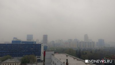 Минприроды: в воздухе Екатеринбурга загрязнений не найдено