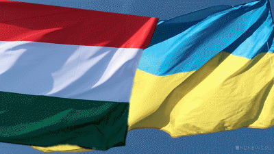 Будапешт заявил о готовности встретиться с Киевом в суде