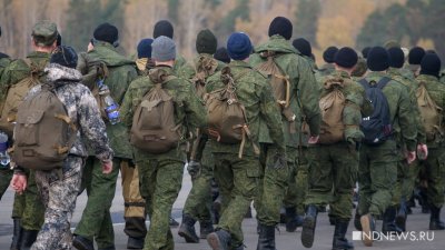 Власти Ямала уравняли в выплатах добровольцев и военнослужащих в зоне СВО