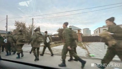 Мобилизация в Петербурге может закончиться 30 октября – спикер Заксобрания