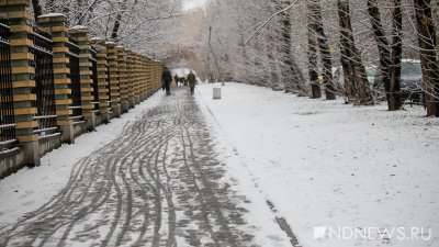 Снег в Екатеринбурге выпадет на Покров