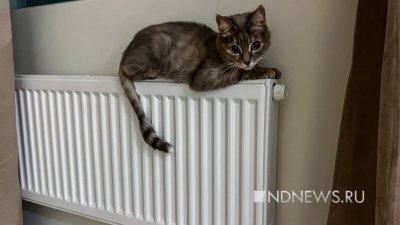 Жители Муравленко проводят голосование – нужно ли в июне возобновить отопление домов