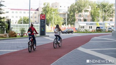 Мэрия Екатеринбурга запустила опрос по велодорожкам