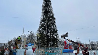 В мэрии Екатеринбурга обсудили плюсы и минусы живой елки на площади 1905 года