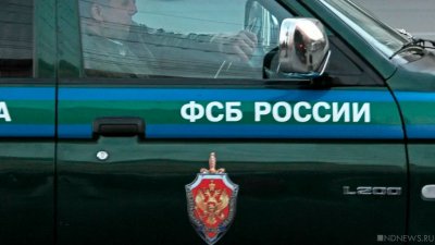 ФСБ возбудила уголовное дело о призывах к вооруженному мятежу