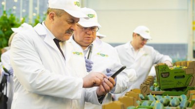 Уральцы показали белорусам, как выращивают овощи (ФОТО)