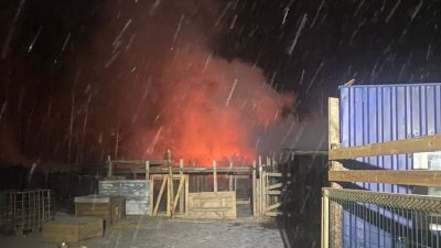 В пожаре под Екатеринбургом в приюте сгорели около 100 животных (ФОТО, ВИДЕО)