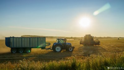 На Украине прогнозируют снижение урожая зерновых