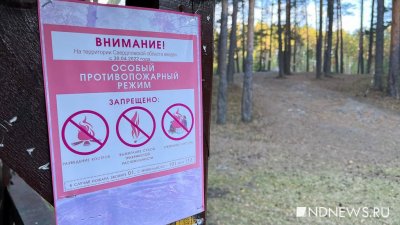 Простой из-за лесных пожаров обошелся уральским паркам в 5 млн рублей