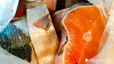 В России не будут ограничивать вывоз рыбы с Камчатки по аналогии с красной икрой