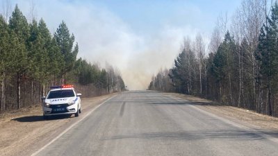 В Свердловской области перекрыли дорогу из-за лесного пожара (ФОТО)