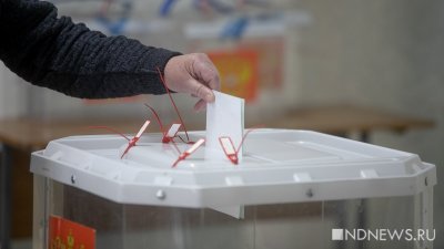 Облизбирком: избиратель сможет выбрать, как ему голосовать – дистанционно или на участке