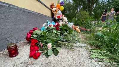 Депутат Госдумы готова «разогнать» органы опеки после гибели 6-летнего Далера