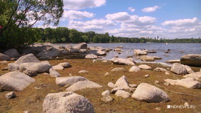Озеро Шарташ начнут очищать в 2025 году