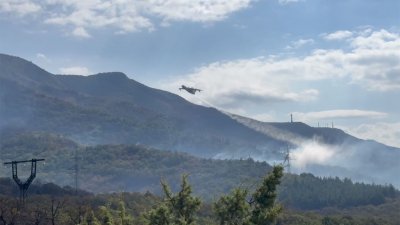 Площадь лесного пожара в Геленджике выросла вчетверо, огонь тушат самолеты Бе-200
