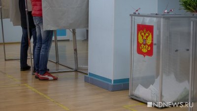 Явка на выборах президента России составляет 4,81%
