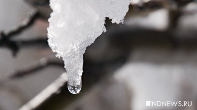 Сильные морозы в Екатеринбурге сменит оттепель