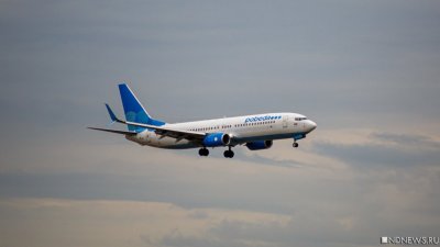 Летевший в Кемерово самолет вынужденно сел в Новосибирске из-за неисправности