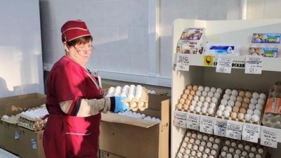 Свердловские власти нашли в продаже яйца по 70 рублей (ФОТО)