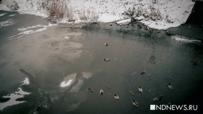 Крещенских морозов на Среднем Урале в этом году не будет