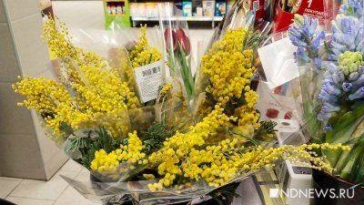 Мимоза – 130 рублей, тюльпаны – 250 рублей: магазины «у дома» начали торговать цветами к 8 Марта (ФОТО)