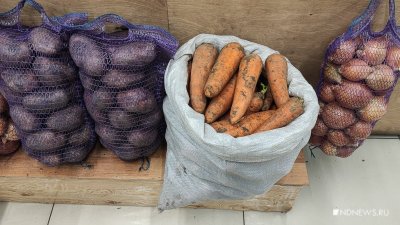 На Урале за неделю вновь подорожали свекла и морковь