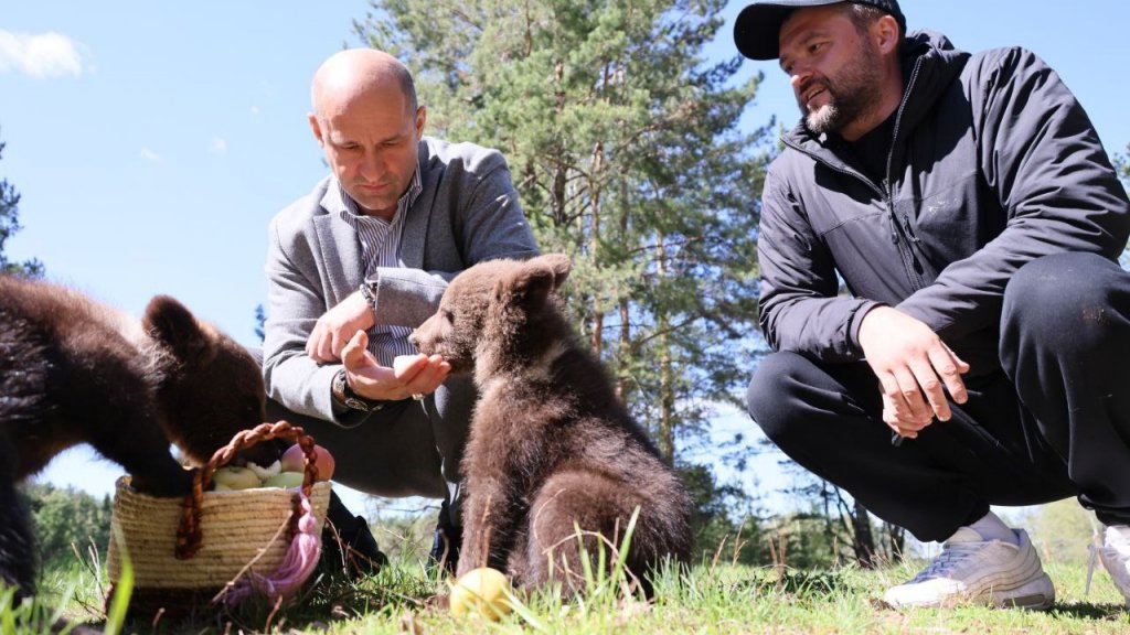 Фото: newdaynews.ru