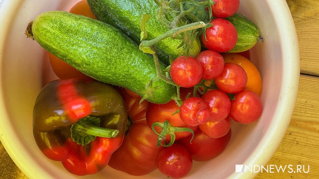 Фото: newdaynews.ru