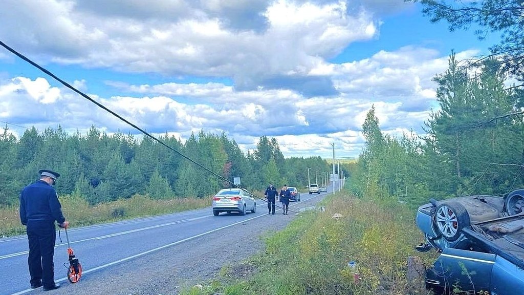 Фото: newdaynews.ru