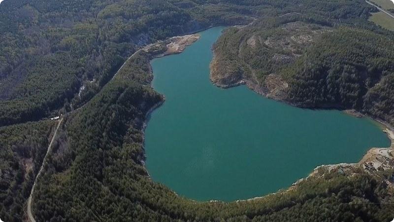 В Режевском заказнике расцвели редкие орхидеи (ФОТО) В Режевском заказнике расцвели редкие орхидеи (ФОТО)